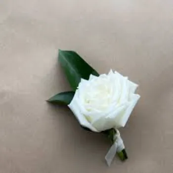 Gifting White Rose